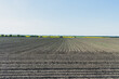 Plowed field in spring season. Beryoza, Brestskaya oblast, Republic of Belarus