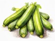 Zucchini watercolor style isolated on white background