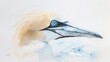 small Joyful Gannet by joey moya, cute,in the style of minimalistic drawings, ultrafine detail, light,bright blue,white background,