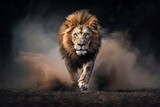 Fototapeta  - Dynamic image of a lion running fast at night, dust billowing, motion blur visible, intense and dramatic.