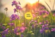 spring meadow with purple flowers, yellow circle and text inside the circle says 