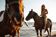 Beautiful young woman horseback riding on coastline at the beach during a sunset