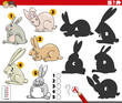 finding shadows game with cartoon rabbits animal characters