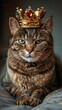cat with a crown on his head. Generative AI