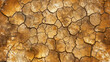 Cracked dry earth forming a natural abstract pattern