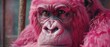 A pink gorilla looking suspiciously at the camera lens, adding a humorous and entertaining element to the scene  8K , high-resolution, ultra HD,up32K HD