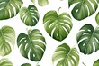 Abstract pattern with green tropical palm monstera leaves