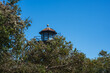 Guard tower at Alcatraz prison, framed by trees. Metal structure with lookout windows, weather vane on top, under blue sky. Tourist spot in San Francisco Bay, USA.