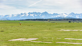 Fototapeta Londyn - View of Tatra mountains from sport grass airfield in Nowy Targ