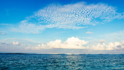 Wall Mural - banner of calm blue sea and sky