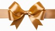 © Dayami - golden ribbon bow realistic shiny satin with horizontal ribbon on transparent background png