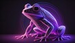 Hologram of a frog on a black background