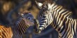 A mother zebra nuzzling her young foal