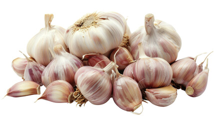 Poster - Garlic