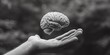 Black and white image depicting a detailed human brain resting gently on a hand against a blurred, chaotic background, symbolizing mental clarity and focus.