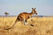 Dynamic scene as a kangaroo leaps gracefully through the rugged outback terrain