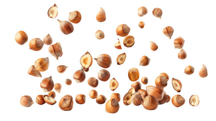 Poster - Falling hazelnuts