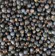 Common juniper berries Juniperus communis fruits pile. Healthy natural food concept