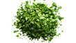 © PNG Kingdom  - Dry parsley leaves transparent background