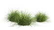 © PNG Kingdom  - Bunches of grass