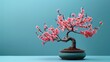 peach tree bonsai, blue background