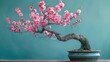 peach tree bonsai, blue background