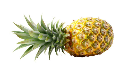 Poster - Pineapple
