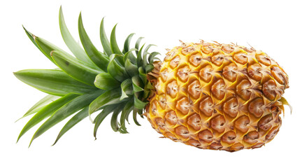 Poster - pineapple