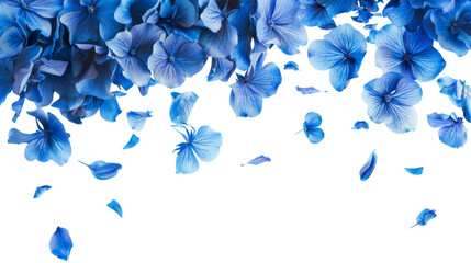 blue flowers and petals