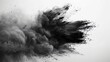 © Sara_P - Dust Blast, A dramatic burst of charcoal particles fills the air, creating a textured splash against a stark white background, as black and grey specks swirl and blend, capturing the raw beauty of mov
