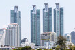 Tall structures in a large metropolis Large metropolis by day, panoramic picture of the city