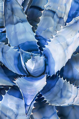 Wall Mural - A close up of a blue and white plant with a blue flower