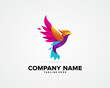 Abstract colorful bird logo design