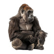 Serene image of a gorilla sitting on a white background