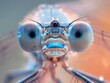 Extreme macro shot showcasing the detailed compound eyes and features of a dragonfly.