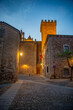 © jjmillan - Vista panorámica del casco histórico de la ciudad española de Cáceres con vistas a los tejados de tejas marrones de edificios antiguos alrededor de la plaza principal en el soleado día de primavera