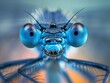Extreme close-up of a dragonfly's face showcasing intricate details and vibrant colors.