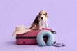 Cute dog sitting on suitcase with travel accessories on lilac background