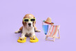 Cute dog in sunglasses and flip flops lying near cocktail and accessories on lilac background
