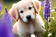 a golden retriever puppy sitting in a field of wildflowers, his tail bouncing and eyes large and soulful.