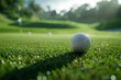 golf ball on green grass, shallow depth of field