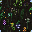 Seamless floral pattern design. Botanical print, summer flowers texture, field background. Meadow herbs, plants, stems, branches. Endless repeating flat vector illustration for wrapping, wallpaper