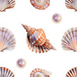 Seamless pattern of seashells on a white background. Watercolor illustration. 