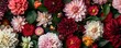 A floral pattern of various flowers including peonies, chrysanthemums and dahlia on a dark background