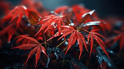 Poster - nature, leaf