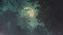 The Beauty Of The Moon At Night Can Be Seen Between The Twigs And . Seamless Looping Time-lapse Virtual Video Animation Background.