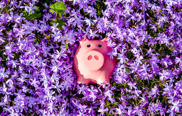 Piggy Bank on the background of purple flowers
