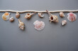 Colorful seashells and starfish decoration background. Summer and tropical concept decorative design background. 
