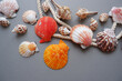 Colorful seashells and starfish decoration background. Summer and tropical concept decorative design background. 