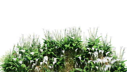 Wall Mural - 3d render various types of flowers grass bushes shrub and small plants on transparent background